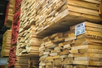 EXPORT OF WOOD AND FOREST PRODUCTS WILL REACH USD 7 BILLION FROM NOW